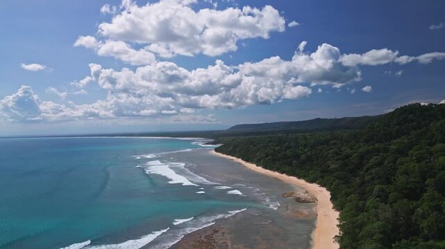 Aerial view of Plengkung Beach, Alas Purwo National Park, East Java, Indonesia