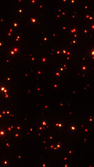 Red and orange glowing sparks on black background, festive and energetic digital light texture.