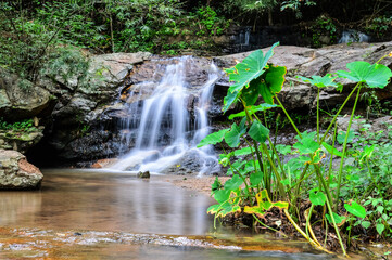 Beautiful Small Waterfall in Green Forest in jungle at Huay U-Mong Nature Trail Chiang Mai, Northern Thailand