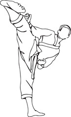 martial arts, fighter pose, self defense, athlete vector, competition drawing, combat skill, strength posture, training illustration, disciplined art, physical movement