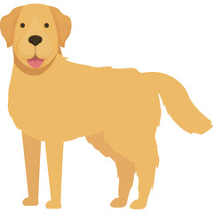Golden Retriever Dog Standing Profile View Cartoon Flat Illustration with Tongue Out and Tail...