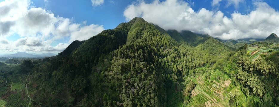 Aerial view of a lush green mountain covered with dense tropical forest under a bright blue sky and low clouds. - Powered by Adobe