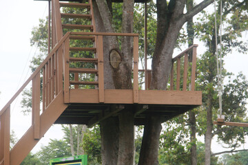 Stairs around the trees that children use as a playground in a park
