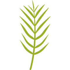 Green palm leaf icon with a transparent background celebrating nature and spring season festivals like Easter or Holy Week events