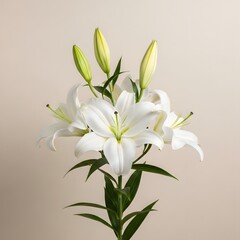 Fototapeta premium Botanical Flat Lay with Leaves and Flowers