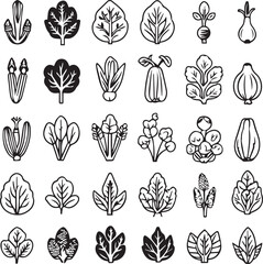 Organic vegetable icons set for nutrition and healthy lifestyle design