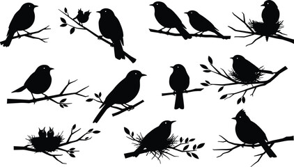 Bird Silhouette Vector Set with Nests, Eggs, and Branches – Nature Wildlife Scene for Adobe Stock SEO Illustration Content