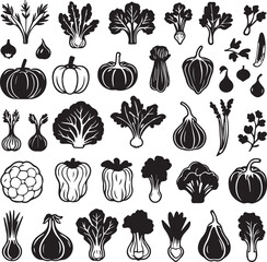 Organic vegetable icons set for nutrition and healthy lifestyle design