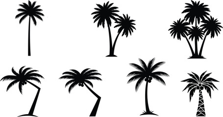 Palm tree silhouette vector illustration set, black tropical icons, artistic clipart bundle for design, abstract, seasonal, botanical, decorative, and exotic use