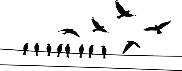Bird silhouette vector showing perched and flying birds on parallel wires, capturing motion, stillness, nature, freedom, and urban wildlife design