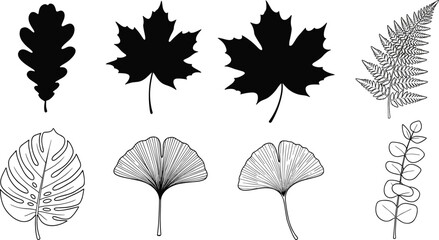 Obraz premium Leaf silhouette vector set, botanical black icons, nature foliage clipart bundle, isolated leaf shapes for design, autumn, tropical, and decorative use