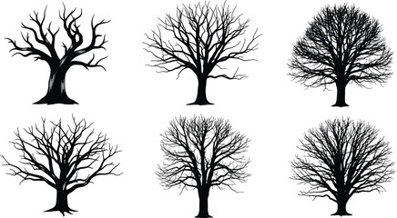 Obraz premium Leafless tree silhouette vector set with diverse branching patterns, black botanical icons, abstract forest illustrations, seasonal winter graphics, artistic nature bundle, decorative elements