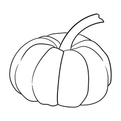 pumpkin vegetable simple lineart vector illustration