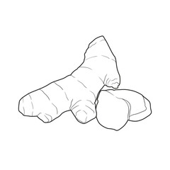 ginger vegetable simple lineart vector illustration