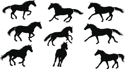 Black Horse Silhouettes in Dynamic Motion – Galloping, Trotting, Standing Poses for Equine Anatomy, Vector Design, and Artistic Illustration Projects