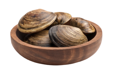 Bowl of fresh clams. Seafood bounty. Brown tones abound