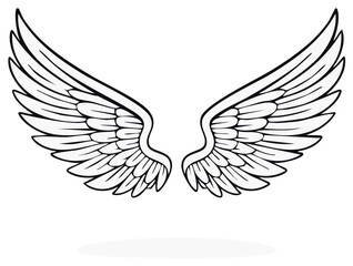 Fototapeta premium Angel wings illustration, heraldic wings open, wings drawings, freedom, fantasy