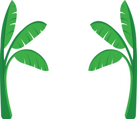 Illustration Of Green Banana Tree For Hindu Festival Celebration and Worship