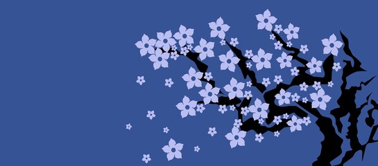 blue sky and tree.Cherry blossoms in full bloom.