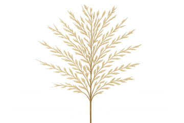 Obraz premium Pampas dry grass botanical element for minimalist decoration, beige fluffy plant on transparent background