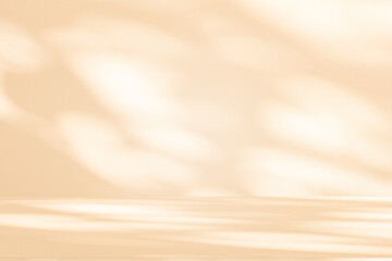 Wall interior background, studio and backdrops show products. with leaf shadow from window color...