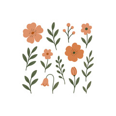 Collection of delicate orange flowers and green leaves