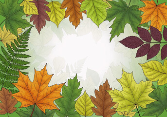 autumn leaves background