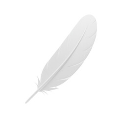 Obraz premium feather isolated on white
