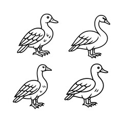 Minimalist Duck Line Art Unique Hand-Drawn Bird Illustrations for Icon Design