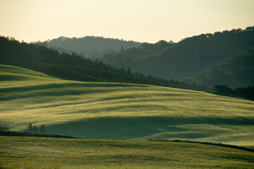 Green hills illuminated by morning light