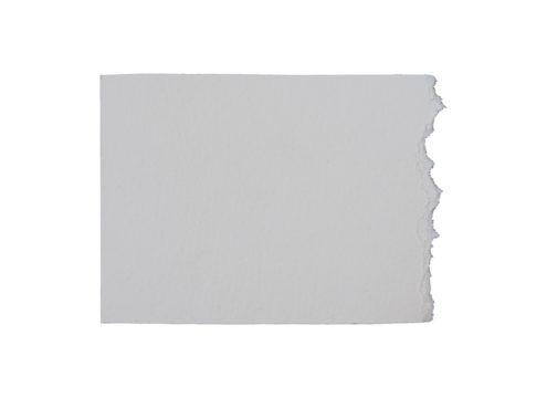 ripped blank white paper isolated