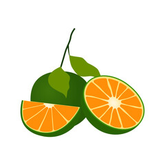 display of orange fruit cartoon element