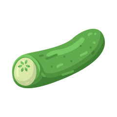 Illustration of a Half Cucumber