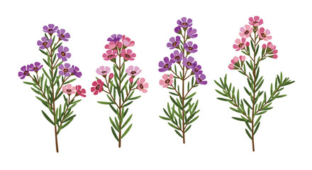 Four small bouquets of dainty purple and pink flowers with green leaves.