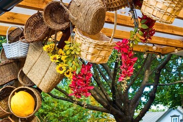 Rustic autumn decoration with wicker baskets, flowers and pumpkin under wooden pergola
Colorful...