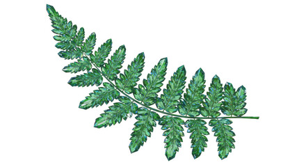 Detailed Illustration of a Green Fern Frond Branch.