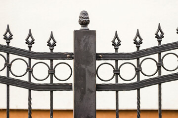 Ornamental Wrought Iron Fence. Metal Fence.