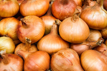 A lot of natural bulbs close-up. Natural organic onion harvest
