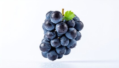 Fresh Dewy Still Life Black Grapes Cluster on White Background