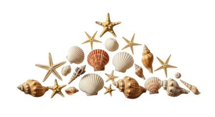 Beautiful Triangle Arrangement of Shells and Starfish for Summer Decoration Purpose