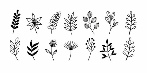 Vector collection of various hand drawn botanical elements including leaves and branches in black and white style