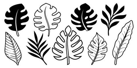 Fototapeta premium Vector illustration of assorted black and white tropical leaves in various shapes and line styles on white background