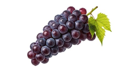 Fresh Detailed Bunch of Black Grapes with Leaf Close Up Still Life