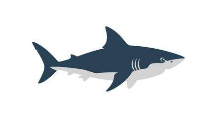 Obraz premium Stylized great white shark illustration isolated on a plain white background design