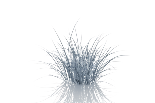 Close up of a wispy translucent fiber bundle with delicate strands isolated on transparent background