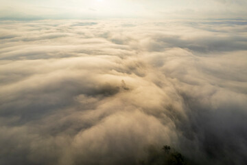 Landscape of Morning Mist with Mountain Layer. mountain ridge and clouds in rural jungle bush forest