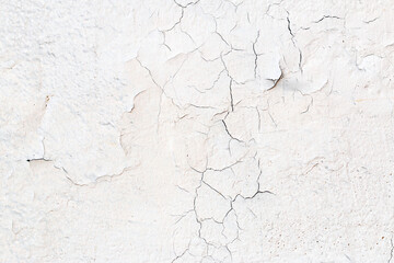 Light Gray Stucco Wall Texture. Abstract Background
