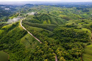 Obraz premium Landscape of Morning Mist with Mountain Layer. mountain ridge and clouds in rural jungle bush forest