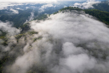 Landscape of Morning Mist with Mountain Layer. mountain ridge and clouds in rural jungle bush forest