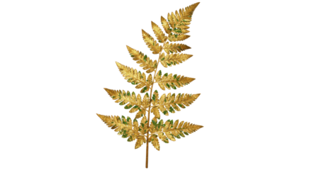 Golden Fern Leaf Isolated on White Background 10.